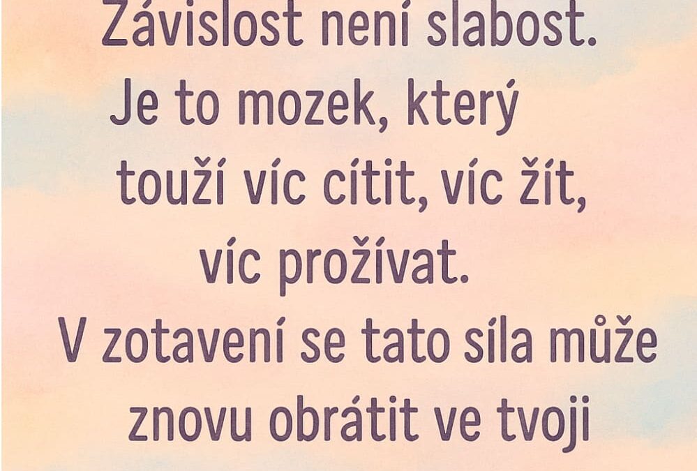 Adikce a mozek: Jsme šampioni!